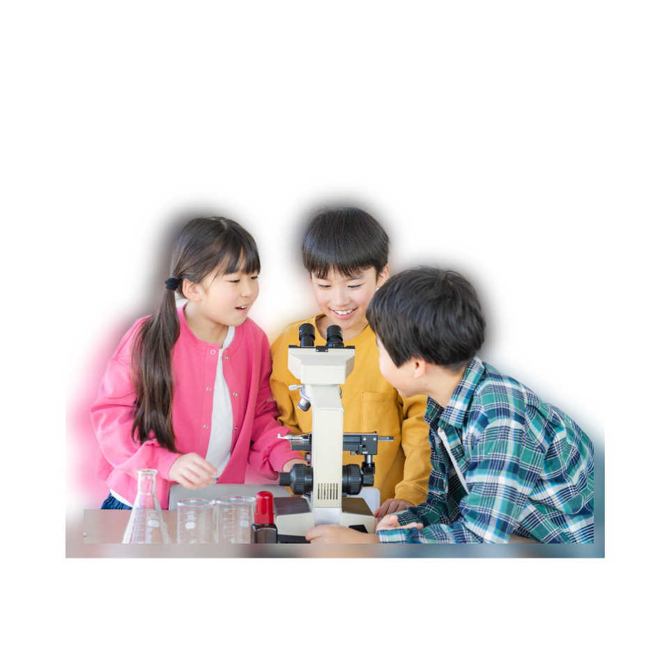子供たちが研究する画像